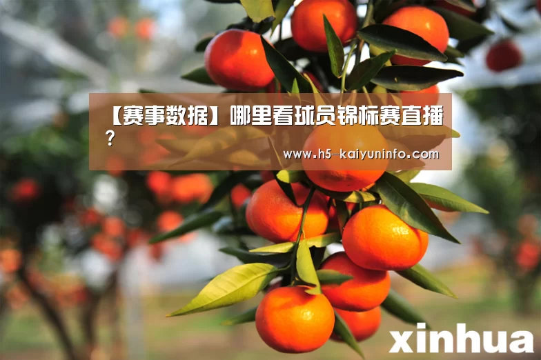 开云平台